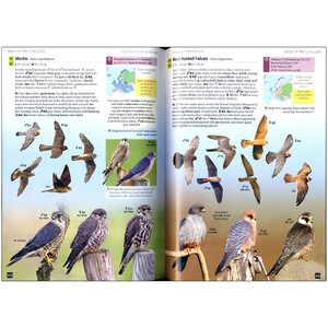 EUROPE'S BIRDS. AN IDENTIFICATION GUIDE 5