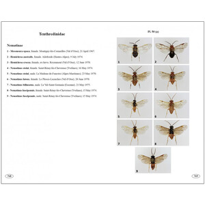 SAWFLIES OF EUROPE. HYMENOPTERA OF EUROPE 2 6