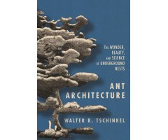 ANT ARCHITECTURE THE WONDER, BEAUTY, AND SCIENCE OF UNDERGROUND NESTS
