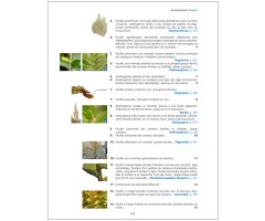 LES BRYOPHYTES DE FRANCE TOME 1. ANTHOCÉROTES ET HÉPATIQUES 5