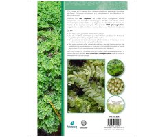 LES BRYOPHYTES DE FRANCE TOME 1. ANTHOCÉROTES ET HÉPATIQUES 6