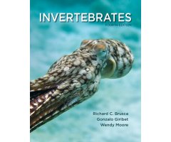 INVERTEBRATES