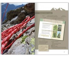FLORA VERTICALIS - GUIDE BOTANIQUE À L'USAGE DES AMATEURS DE VERTICALITÉ 2