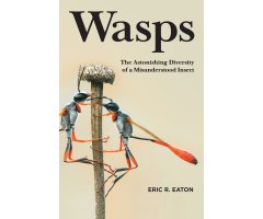 WASPS. THE ASTONISHING DIVERSITY OF A MISUNDERSTOOD INSECT