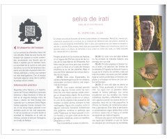 VIAJE VISUAL Y SONORO POR LOS BOSQUES DE ESPAÑA 2