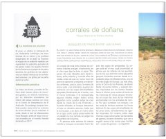 VIAJE VISUAL Y SONORO POR LOS BOSQUES DE ESPAÑA 3