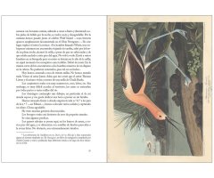 DIARIO DEL RÍO MISISIPI 3