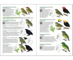 BIRDS OF COLOMBIA 2