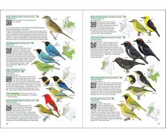 BIRDS OF COLOMBIA 4