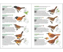 BIRDS OF COLOMBIA 5