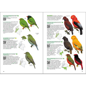 BIRDS OF COLOMBIA 3
