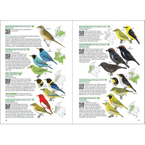 BIRDS OF COLOMBIA 4