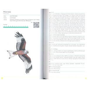 GUIA D'OCELLS DE LA CERDANYA_1