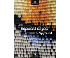 ATLAS DES PAPILLONS DE JOUR & ZYGÈNES - PROVENCE-ALPES CÔTE D\'AZUR