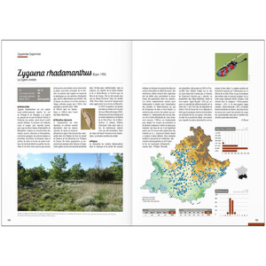 ATLAS DES PAPILLONS DE JOUR & ZYGÈNES - PROVENCE-ALPES CÔTE D'AZUR_1