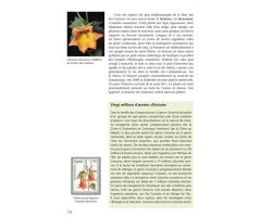 FLORE ET VÉGÉTATION DE L'ÎLE D'EL HIERRO CANARIES 5
