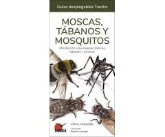 MOSCAS, TÁBANOS Y MOSQUITOS. INTRODUCCIÓN A LAS ESPECIES IBÉRICAS, BALEARES Y CANARIAS. GUÍAS DESPLEGABLES TUNDRA