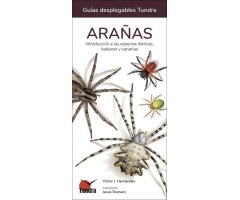 ARAÑAS. INTRODUCCIÓN A LAS ESPECIES IBÉRICAS, BALEARES Y CANARIAS. GUÍAS DESPLEGABLES TUNDRA