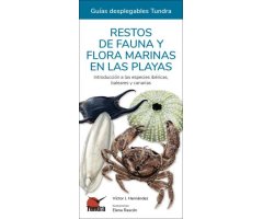 RESTOS DE FAUNA Y FLORA MARINAS EN LAS PLAYAS. INTRODUCCIÓN A LAS ESPECIES IBÉRICAS, BALEARES Y CANARIAS. GUÍAS DESPLEGABLES TUNDRA