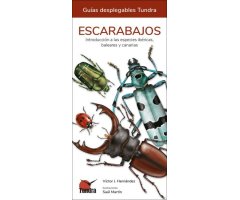 ESCARABAJOS. INTRODUCCIÓN A LAS ESPECIES IBÉRICAS, BALEARES Y CANARIAS. GUÍAS DESPLEGABLES TUNDRA