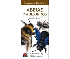 ABEJAS Y ABEJORROS. INTRODUCCIÓN A LAS ESPECIES IBÉRICAS, BALEARES Y CANARIAS. GUÍAS DESPLEGABLES TUNDRA