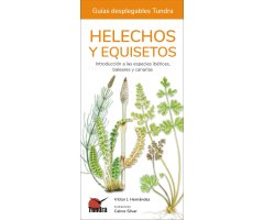 HELECHOS, EQUISETOS Y LICOPODIOS. INTRODUCCIÓN A LAS ESPECIES IBÉRICAS, BALEARES Y CANARIAS. GUÍAS DESPLEGABLES TUNDRA