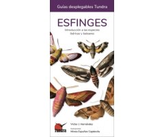 ESFINGES. INTRODUCCIÓN A LAS ESPECIES IBÉRICAS, BALEARES Y CANARIAS. GUÍAS DESPLEGABLES TUNDRA