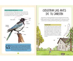 MI PEQUEÑA GUÍA DE LA NATURALEZA. LAS AVES. OBSERVARLAS. COMPRENDERLAS. PROTEGERLAS. 2