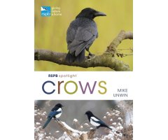 RSPB SPOTLIGHT. CROWS