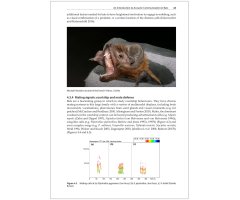 BAT CALLS OF BRITAIN AND EUROPE. A GUIDE TO SPECIES IDENTIFICATION_1