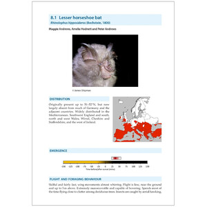 BAT CALLS OF BRITAIN AND EUROPE. A GUIDE TO SPECIES IDENTIFICATION 6