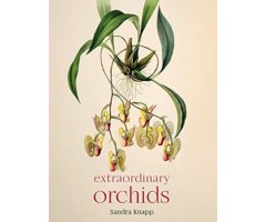 EXTRAORDINARY ORCHIDS