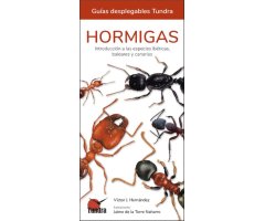 HORMIGAS. INTRODUCCIÓN A LAS ESPECIES IBÉRICAS, BALEARES Y CANARIAS. GUÍAS DESPLEGABLES TUNDRA