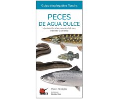PECES DE AGUA DULCE. INTRODUCCIÓN A LAS ESPECIES IBÉRICAS, BALEARES Y CANARIAS. GUÍAS DESPLEGABLES TUNDRA
