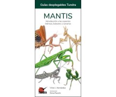 MANTIS. INTRODUCCIÓN A LAS ESPECIES IBÉRICAS, BALEARES Y CANARIAS. GUÍAS DESPLEGABLES TUNDRA