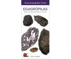 EGAGRÓPILAS DE LAS AVES IBÉRICAS, BALEARES Y CANARIAS. GUÍAS DESPLEGABLES TUNDRA