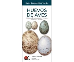 HUEVOS DE AVES. INTRODUCCIÓN A LAS ESPECIES IBÉRICAS, BALEARES Y CANARIAS. GUÍAS DESPLEGABLES TUNDRA