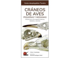 CRÁNEOS DE AVES PEQUEÑAS Y MEDIANAS. INTRODUCCIÓN A LAS ESPECIES IBÉRICAS, BALEARES Y CANARIAS. GUÍAS DESPLEGABLES TUNDRA