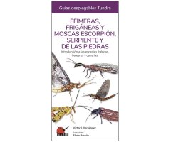 EFÍMERAS, FRIGÁNEAS Y MOSCAS ESCORPIÓN, SERPIENTE Y DE LAS PIEDRAS. INTRODUCCIÓN A LAS ESPECIES IBÉRICAS, BALEARES Y CANARIAS. GUÍAS DESPLEGABLES TUND