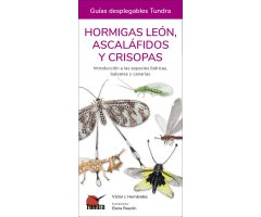 HORMIGAS LEÓN, ASCALÁFIDOS Y CRISOPAS. INTRODUCCIÓN A LAS ESPECIES IBÉRICAS, BALEARES Y CANARIAS. GUÍAS DESPLEGABLES TUNDRA