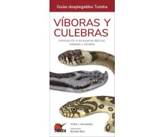 VÍBORAS Y CULEBRAS. INTRODUCCIÓN A LAS ESPECIES IBÉRICAS, BALEARES Y CANARIAS. GUÍAS DESPLEGABLES TUNDRA