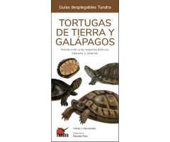 TORTUGAS DE TIERRA Y GALÁPAGOS. INTRODUCCIÓN A LAS ESPECIES IBÉRICAS, BALEARES Y CANARIAS. GUÍAS DESPLEGABLES TUNDRA
