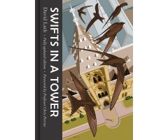 SWIFTS IN A TOWER