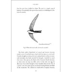 SWIFTS IN A TOWER 5