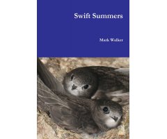 SWIFT SUMMERS