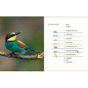 LA VIE AMOUREUSE DES OISEAUX - ETONNANTES STRATEGIES DE REPRODUCTION_1