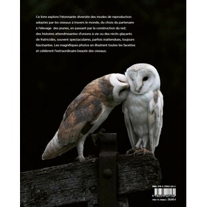 LA VIE AMOUREUSE DES OISEAUX - ETONNANTES STRATEGIES DE REPRODUCTION 6