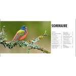 SEXE ET SEDUCTION CHEZ LES OISEAUX 2