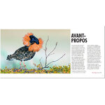SEXE ET SEDUCTION CHEZ LES OISEAUX 3