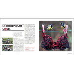 SEXE ET SEDUCTION CHEZ LES OISEAUX 4